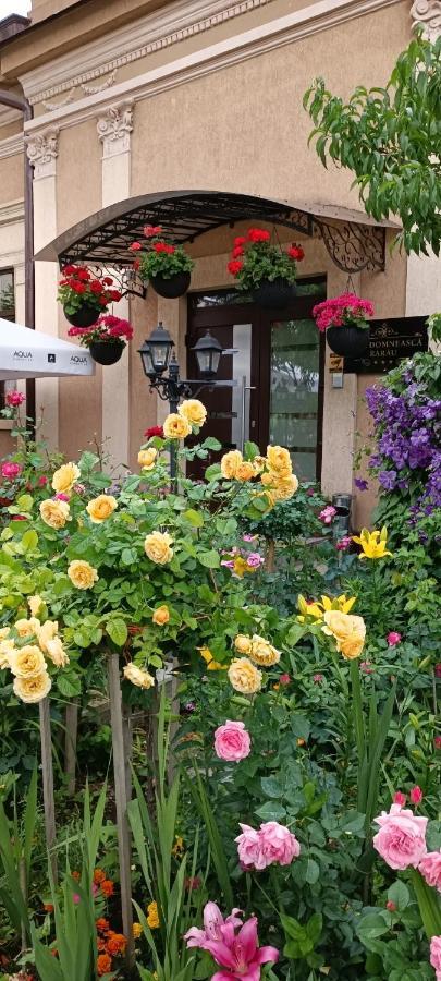 Casa Domneasca Rarau Hotel Câmpulung Moldovenesc Eksteriør billede